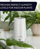 Portable Cool Mist Humidifier Compact, Silent, and Multi-Purpose