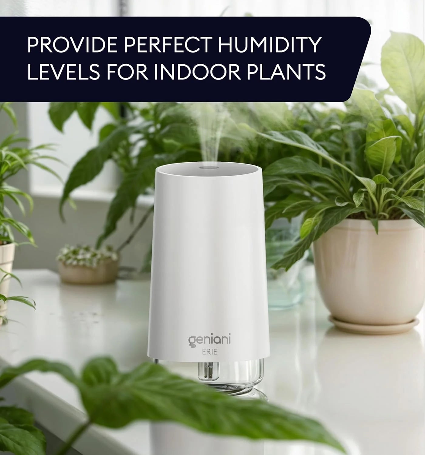 Portable Cool Mist Humidifier Compact, Silent, and Multi-Purpose